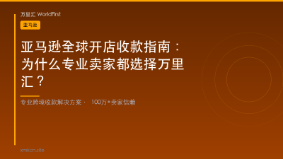 亚马逊全球开店收款指南：为什么专业卖家都选择万里汇？