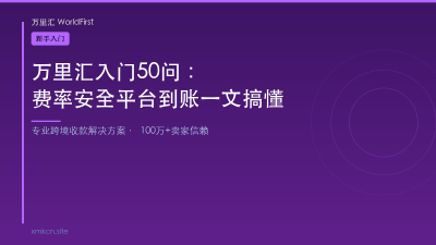 万里汇入门50问：费率安全平台到账一文搞懂